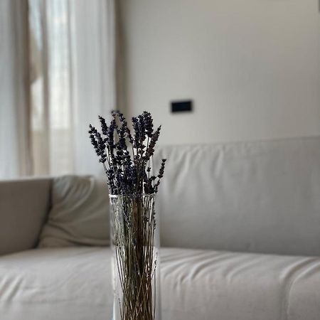 Roemer Apartment Und Zimmer 蒂克海姆 外观 照片